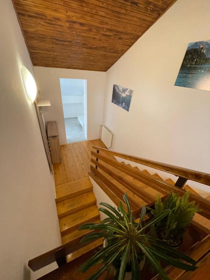 Sava River House - Apartments بليد المظهر الخارجي الصورة